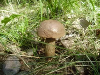 P9020136.jpg