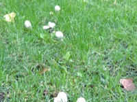 IMG_20170902_164114.webp