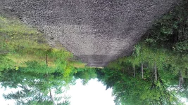 P_20170905_145640.jpg
