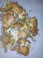 IMG_20170908_183823.webp IMG_20170908_183823.webp