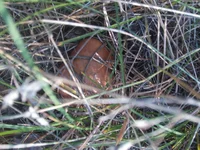 IMG_20170908_175354.webp IMG_20170908_175354.webp