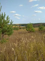 IMG_20170909_151153.webp
