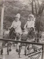 003+.webp