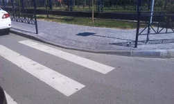 original-32.webp