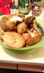 IMG_20170913_184131.webp