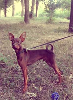 DSC00112чм.webp
