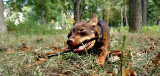 DSC00463.webp