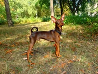 DSC00477.jpg