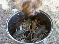 Photo-0088.webp