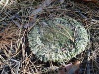 IMG_20170917_101155.webp