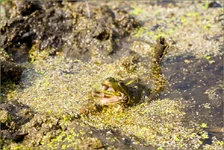 DSC24948.webp