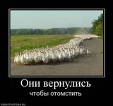 .webp