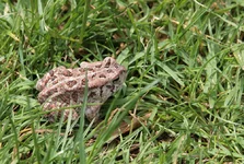 IMG_4650w.webp
