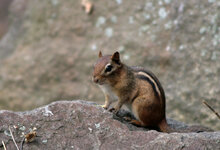 IMG_1541w.jpg