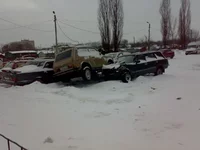 3436.webp