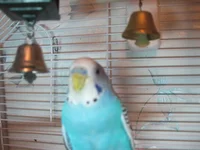 IMG_1342.webp