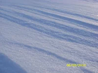 SN852329.webp