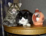 00610.webp