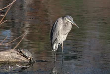 IMG_5164_w.webp