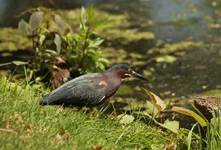 IMG_9652w.webp