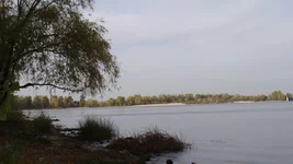 DSC00169.jpg