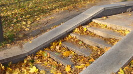 DSC00204.jpg