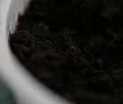  такое оно).webp