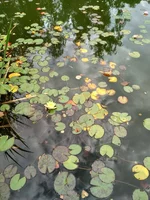 IMG_2017-09-24_124057_HDR.webp