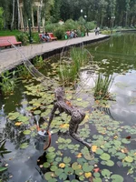 IMG_2017-09-24_124135_HDR.webp