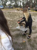 image-0-02-05-bbeca8217a1afc497b485a4b60973091d95623bbc8ccf6e02dfd9acc9a9fee62-V.jpg