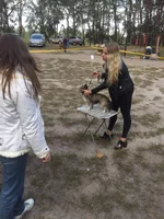  1 24_09_17.webp