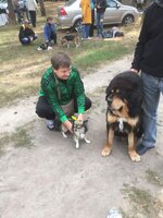 выставка 2 24_09_17.jpg