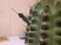 20170926_205021.webp