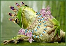 image.jpeg