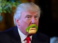 images.jpg