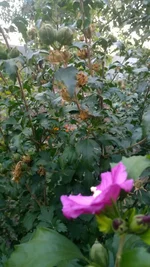 WP_20170929_015.jpg