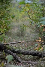 DSC_6937+.webp