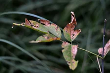 DSC_6940+.webp