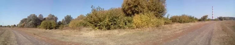 uXpDKJZxkCk.webp