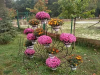 IMG_2017-10-08_130907_HDR.webp