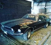 FB_IMG_1507575675883.webp