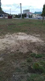 IMG_2017-10-14_103351.webp