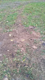 IMG_2017-10-14_103436.webp