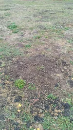 IMG_2017-10-14_103456.webp