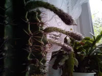 IMG_20171008_1501101.webp
