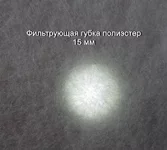  на просвет.webp