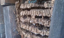 IMAG0649.jpg