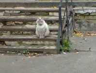 0467.webp