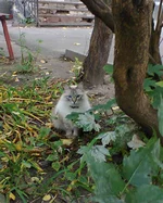 0469.webp