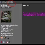 .webp